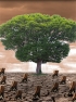 Two New “Inconvenient Truths” for Climate Alarmists