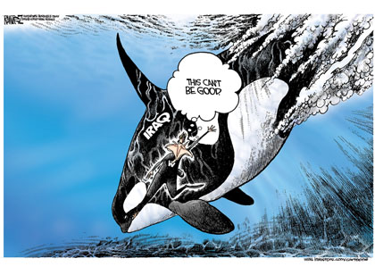 Iraq Shamu