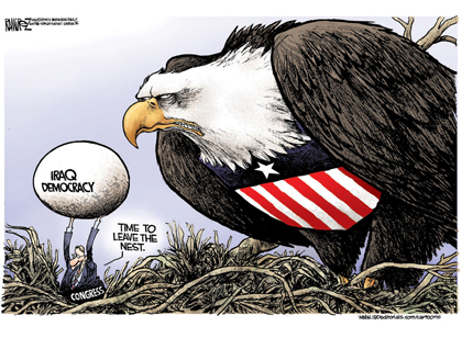 Iraq Nest