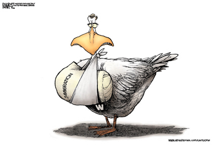 Bush Duck