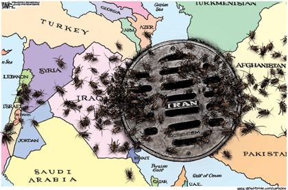 Iran roaches