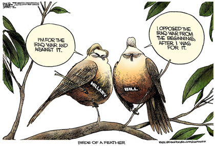Birds Brain