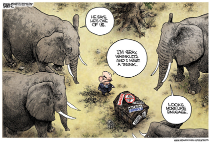McCain GOP