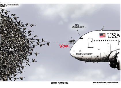 Bird Strike
