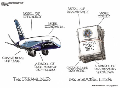 The Birdcage Liner