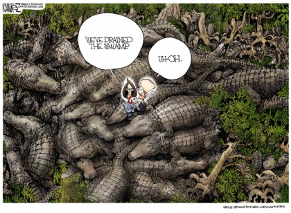 Uh Oh, We Drained The Swamp