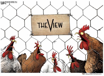 The View