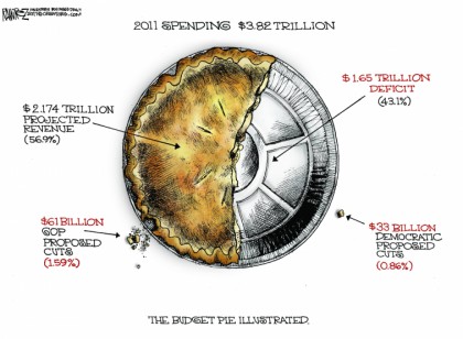The Budget Pie Illustrated
