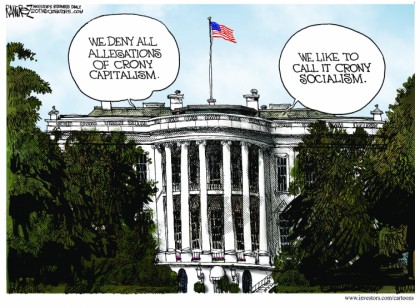Crony Socialism