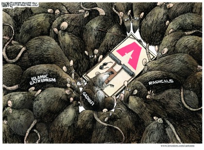 Rats