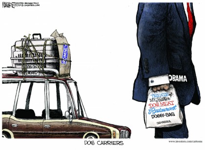 Dog Carriers