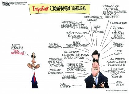 Important Campaign Issues