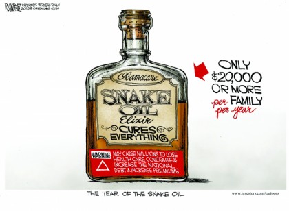 The Year of The Snake Oil