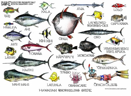Hawaiian Snorkeling Guide
