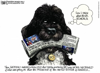 Bo More Informed Than The President