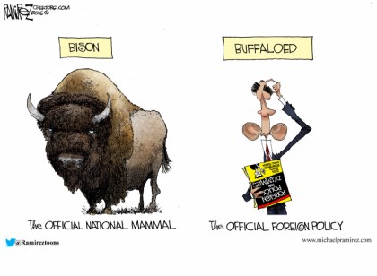 Buffaloed