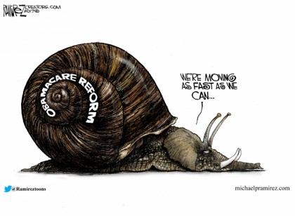 Obamacare Reform