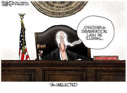 The Unelected