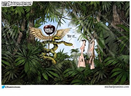 Single Payer