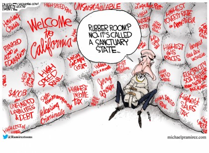 A Sanctuary State
