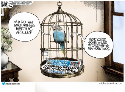 Line My Cage With The NYT