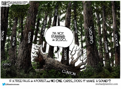 If A Tree Falls In A Forest...