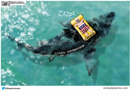 Illegal Immigration