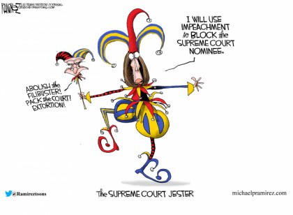 The Supreme Court Jester