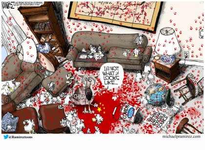 Not What It Looks Like