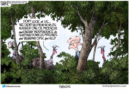 Turkeys