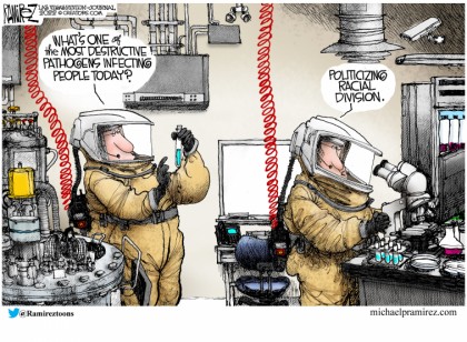 Politicizing Racial Division