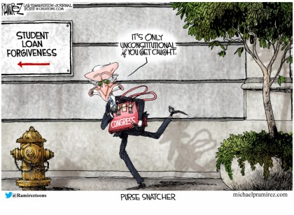 Purse Snatcher