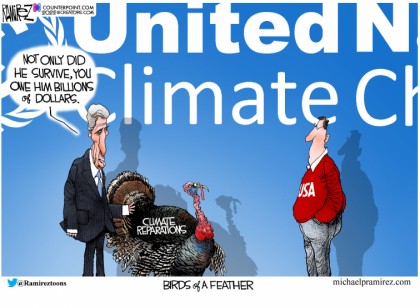 Birds Of A Feather