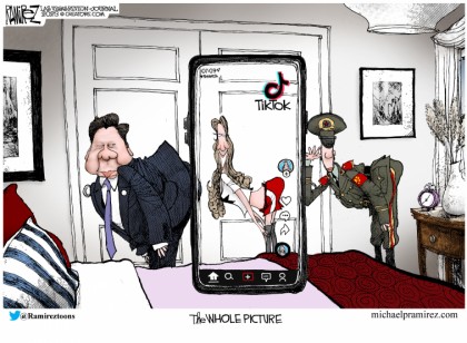 The Whole Picture