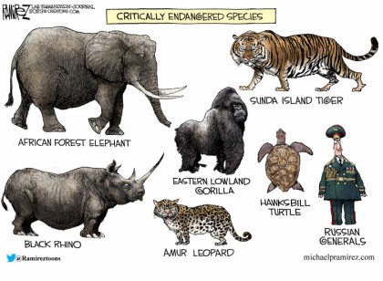 Critically Endangered Species