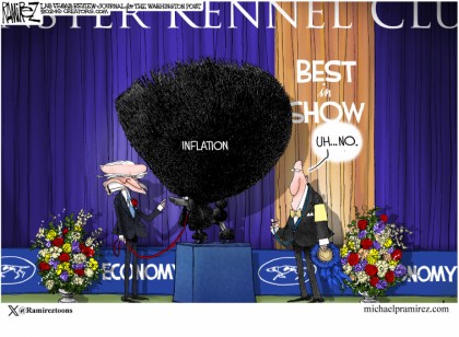 Best In Show