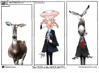 Deer In The Headlights