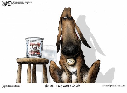 Nuclear Watchdog